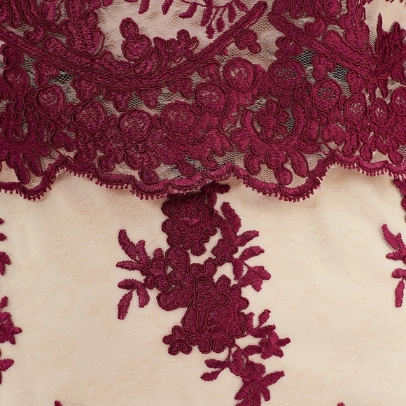 REVIEW | Heavenly Lace Dress - Berry & Champagne | AU 12 - Picture 5 of 12